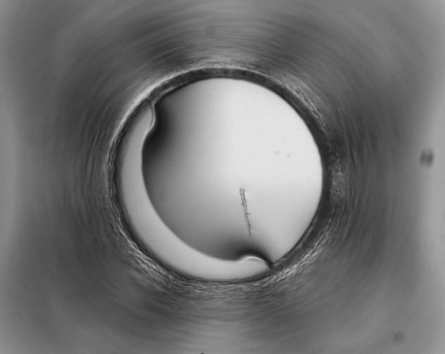 X0000098080926200805021018