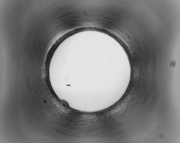 X0000098080927200805021018