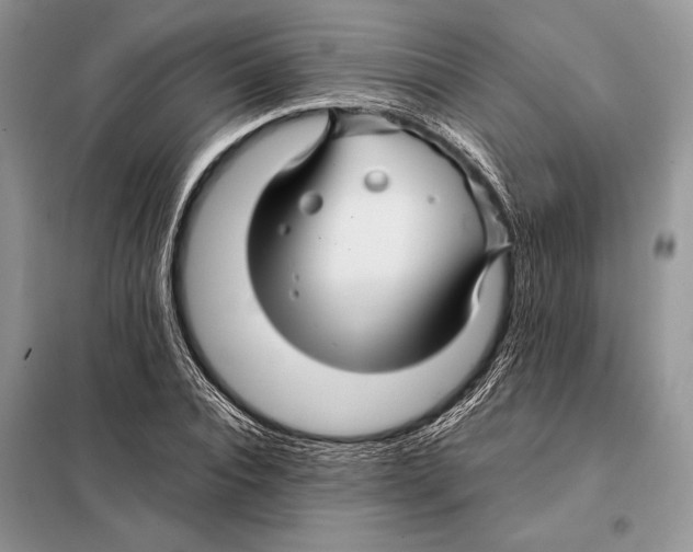 X0000098080928200805021018