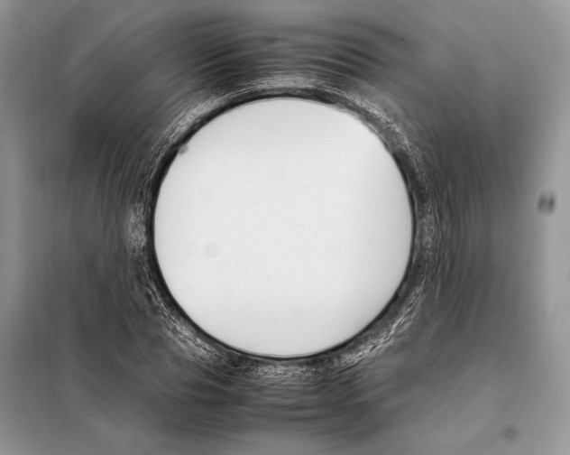 X0000098080929200805021018