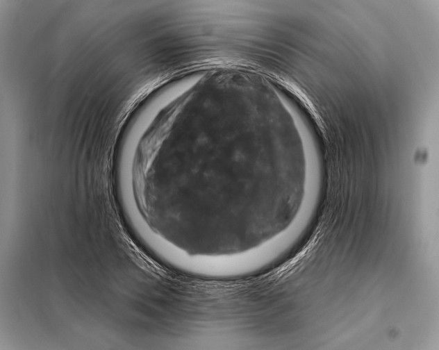 X0000098080930200805021018