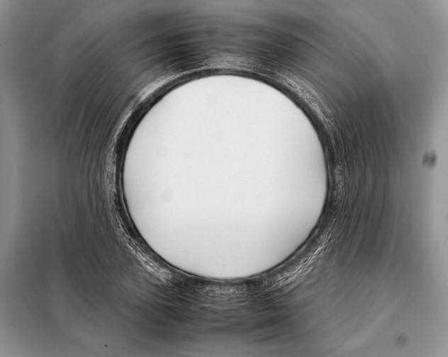 X0000098080931200805021018