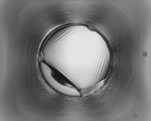X0000098080932200805021018