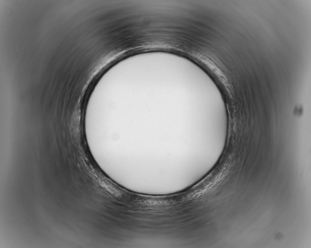 X0000098080933200805021018