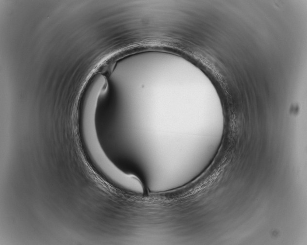 X0000098080934200805021018