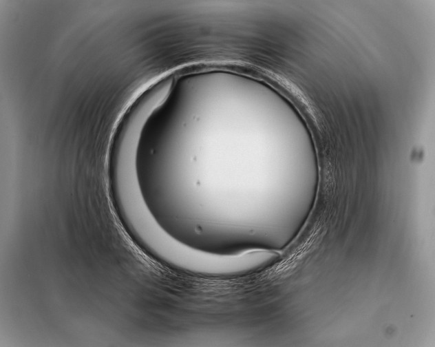 X0000098080935200805021018