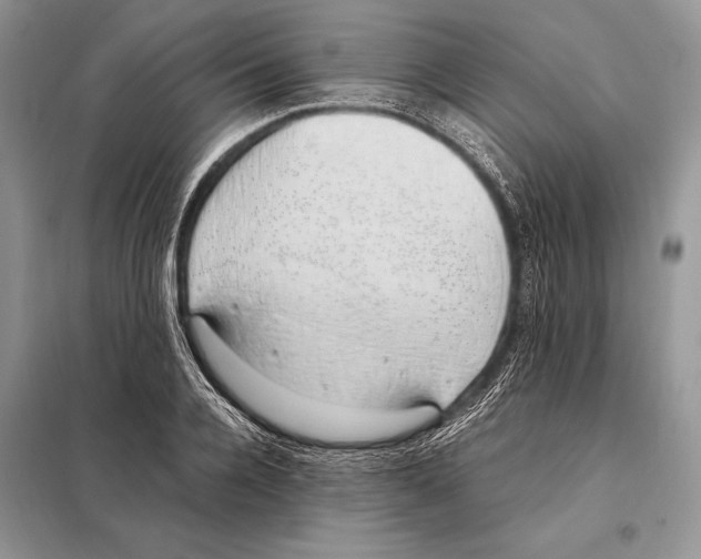 X0000098080936200805021018