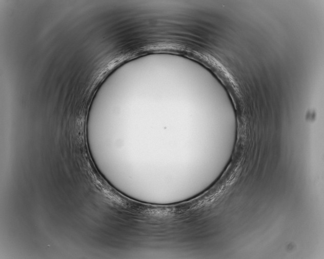 X0000098080937200805021018