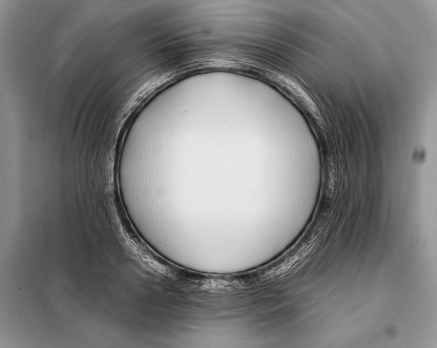 X0000098080938200805021018