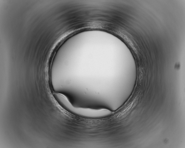X0000098080939200805021018
