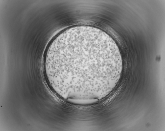 X0000098080940200805021018