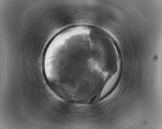 X0000098080941200805021018
