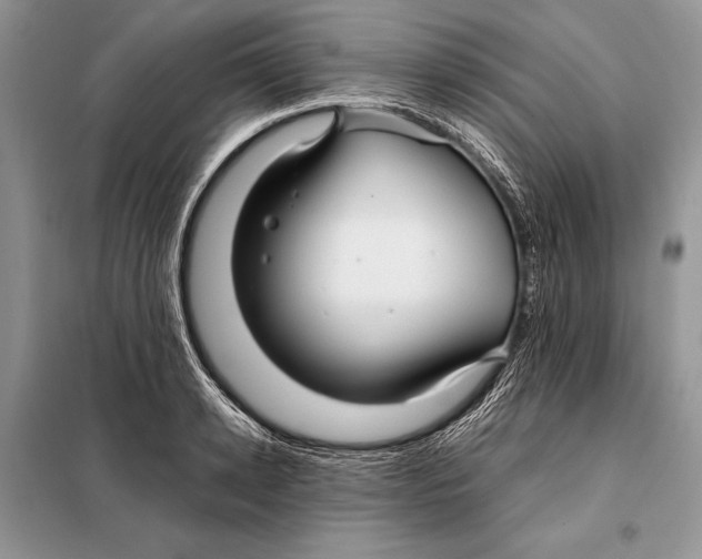 X0000098080942200805021018