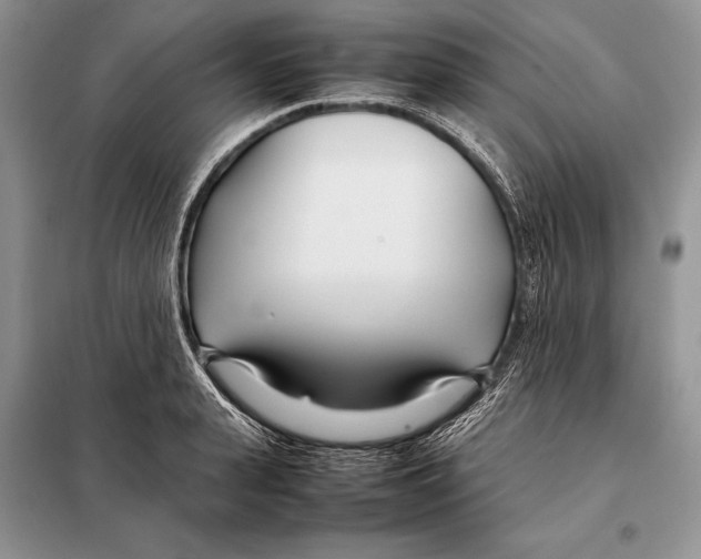 X0000098080943200805021018