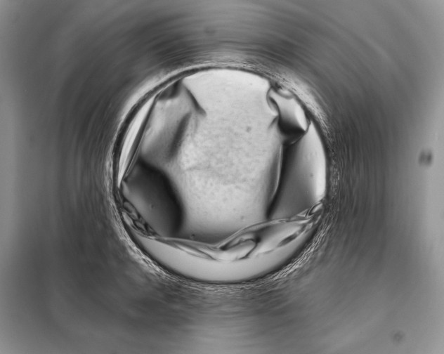 X0000098080944200805021018