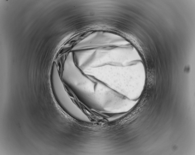X0000098080946200805021018