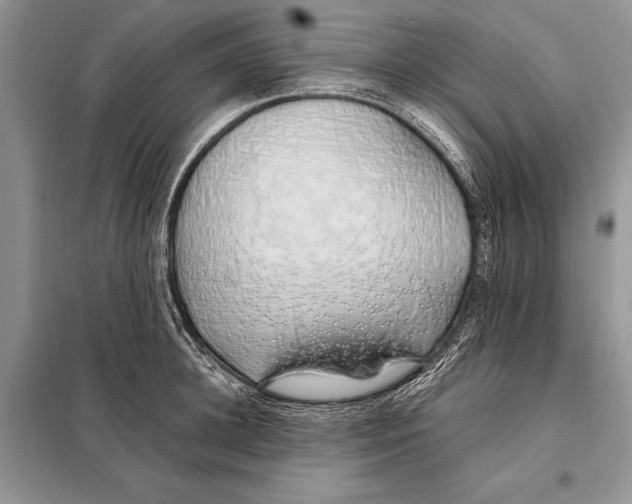 X0000098080948200805021018