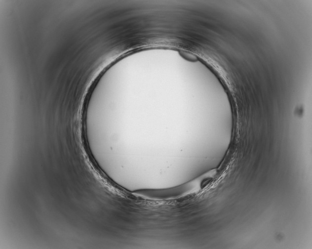 X0000098080949200805021018