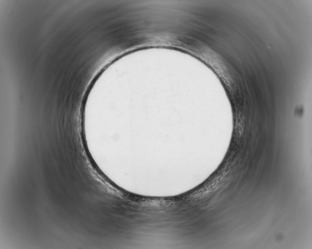 X0000098080950200805021018