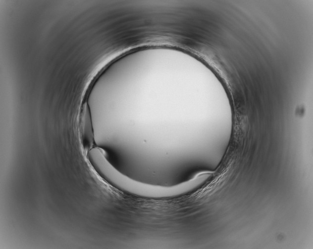 X0000098080951200805021018