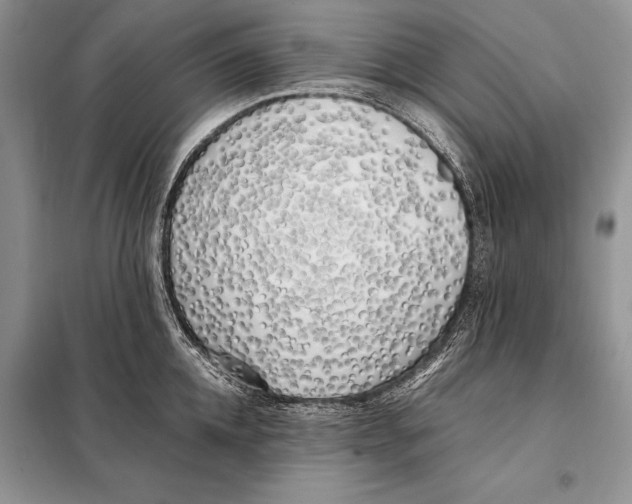 X0000098080952200805021018
