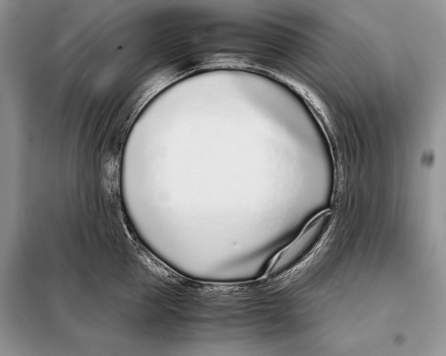 X0000098080953200805021018