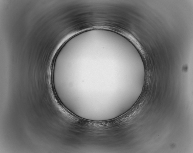 X0000098080955200805021018