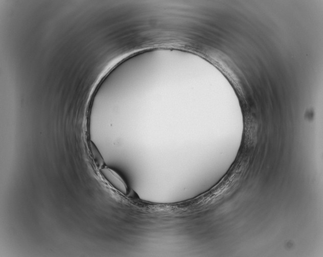 X0000098080956200805021018