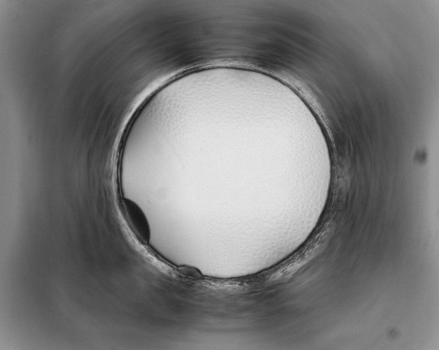 X0000098080957200805021018