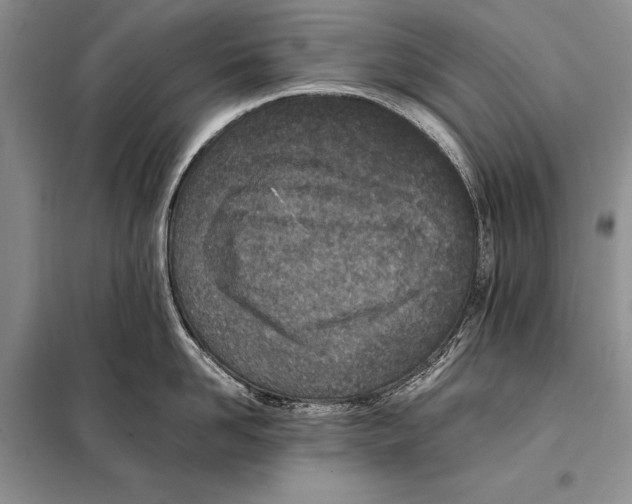 X0000098080958200805021018