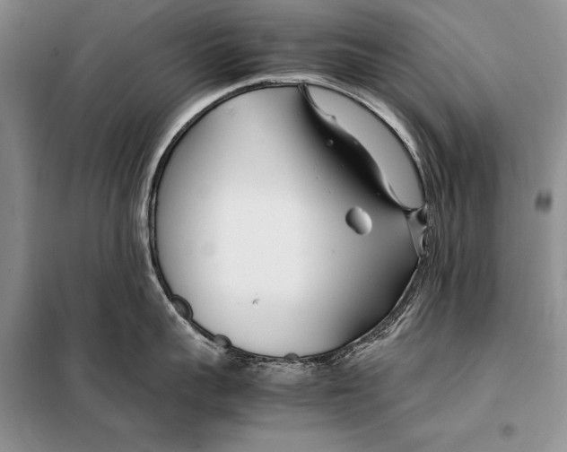 X0000098080959200805021018