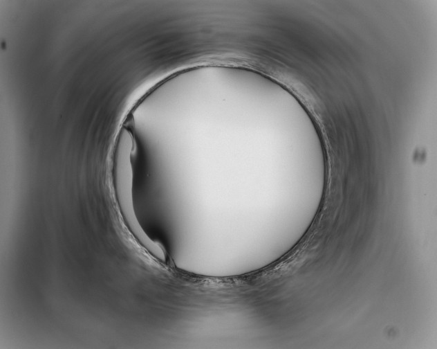 X0000098080960200805021018