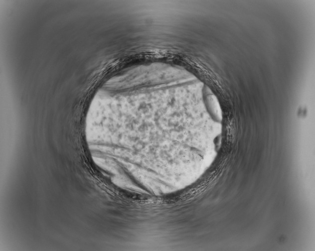 X0000098080961200805021018