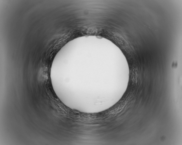 X0000098080962200805021018