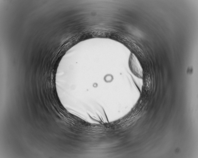 X0000098080964200805021018