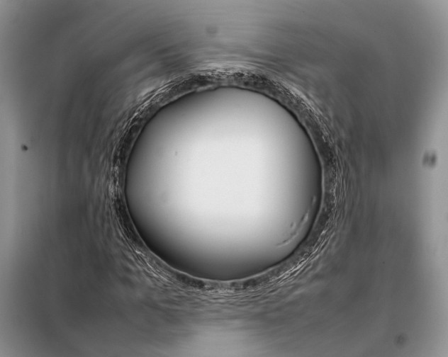 X0000098080965200805021018