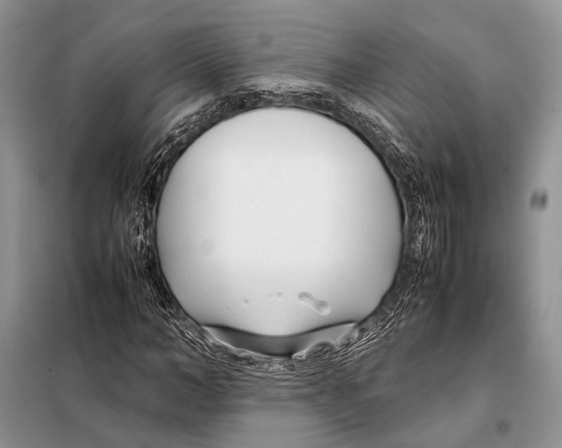 X0000098080966200805021018