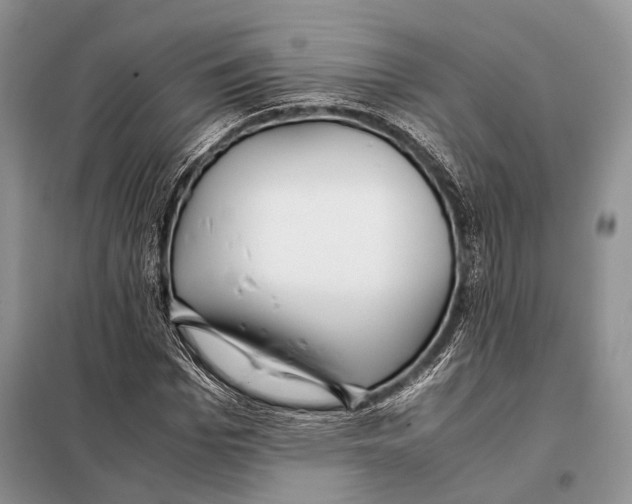X0000098080969200805021018