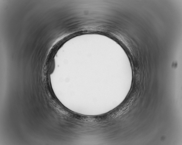 X0000098080971200805021018