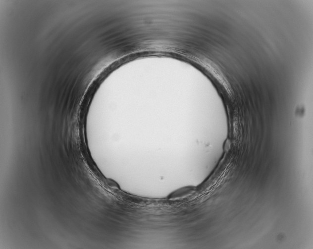 X0000098080972200805021018