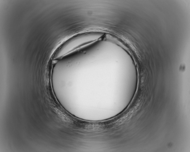 X0000098080973200805021018