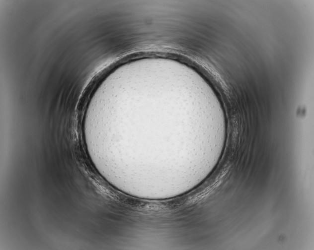 X0000098080974200805021018