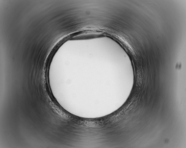 X0000098080976200805021018