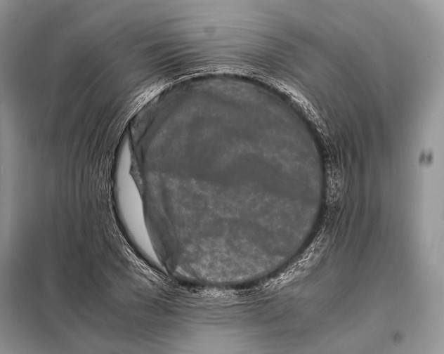 X0000098080977200805021018