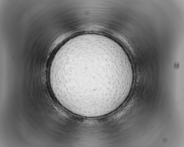 X0000098080978200805021018