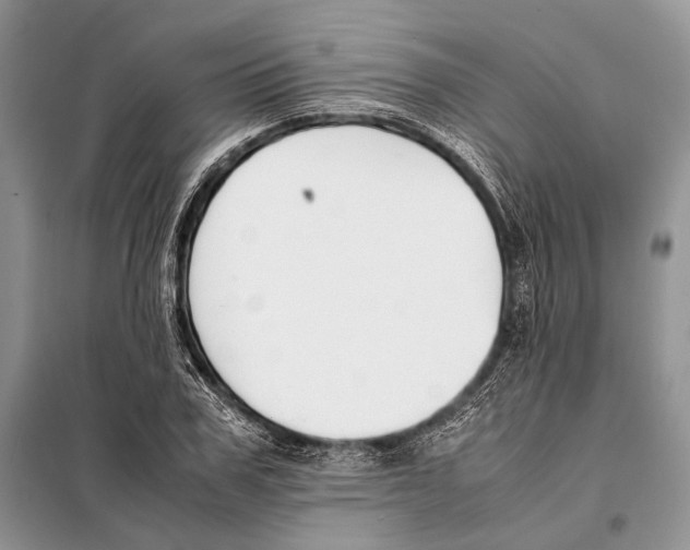X0000098080979200805021018