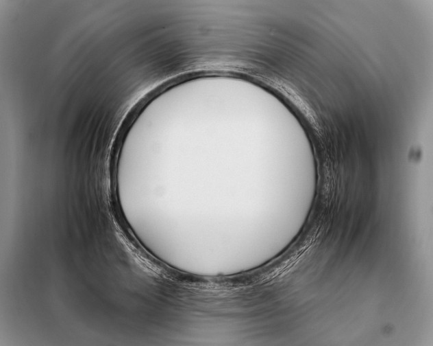 X0000098080980200805021018