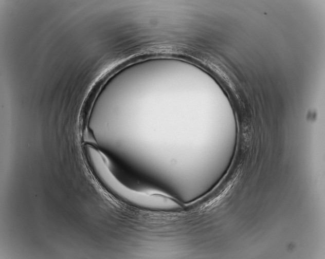 X0000098080981200805021018