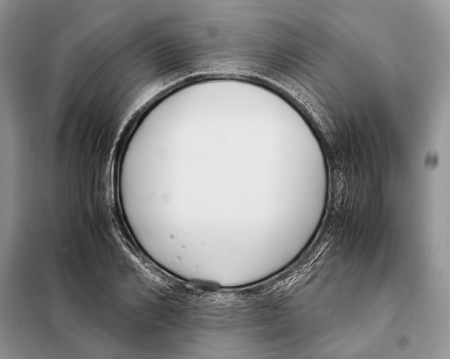 X0000098080982200805021018