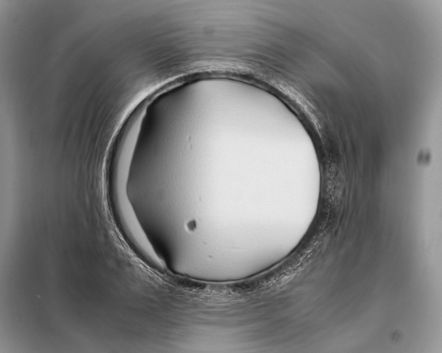 X0000098080983200805021018